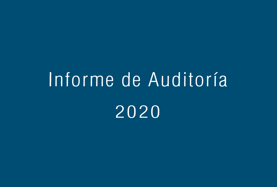 Informe de Auditoría 2020