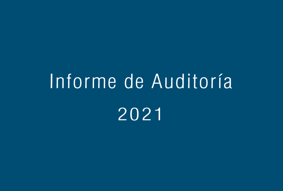 Informe de Auditoría 2021