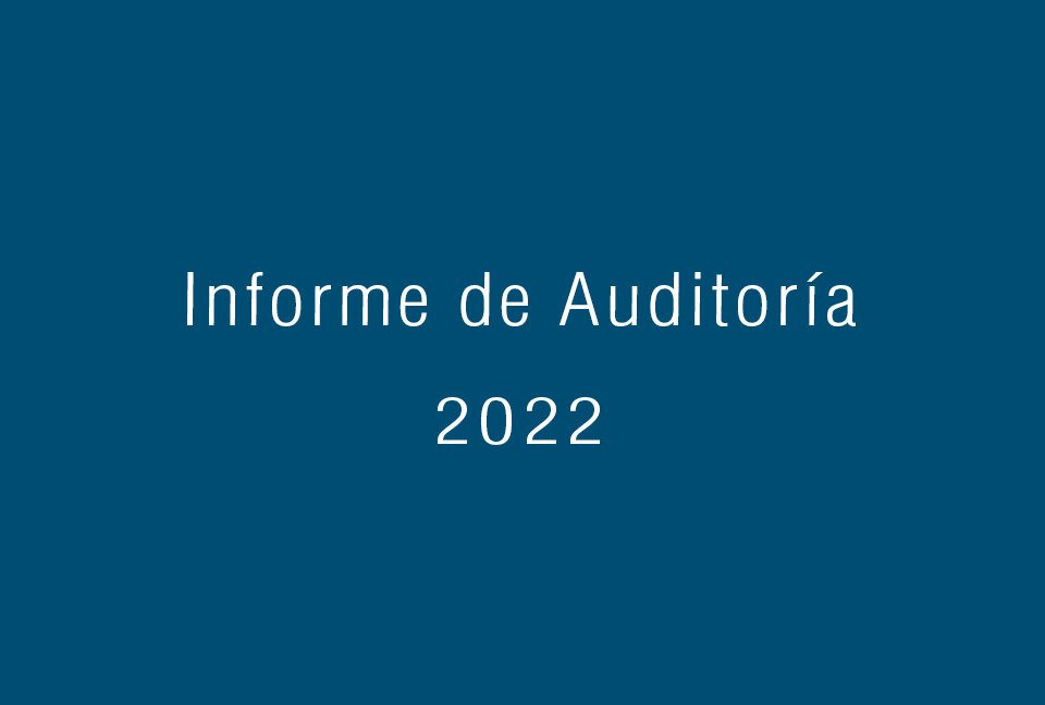 Informe de Auditoría 2022