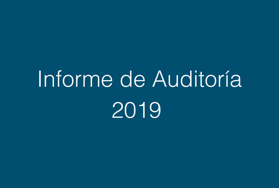 Informe de Auditoría 2019