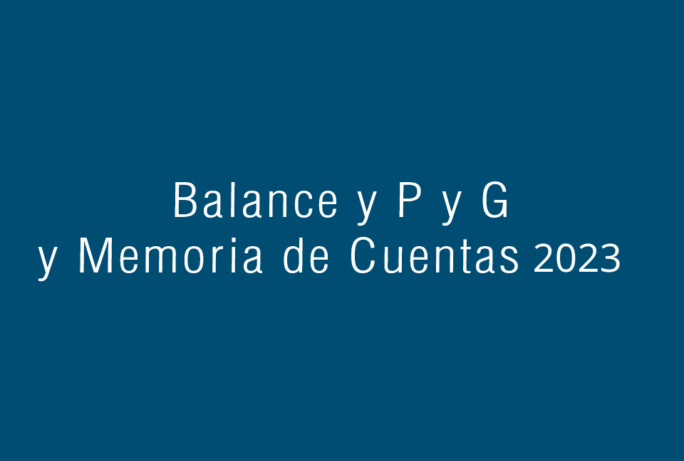 Balance y PyG  2020