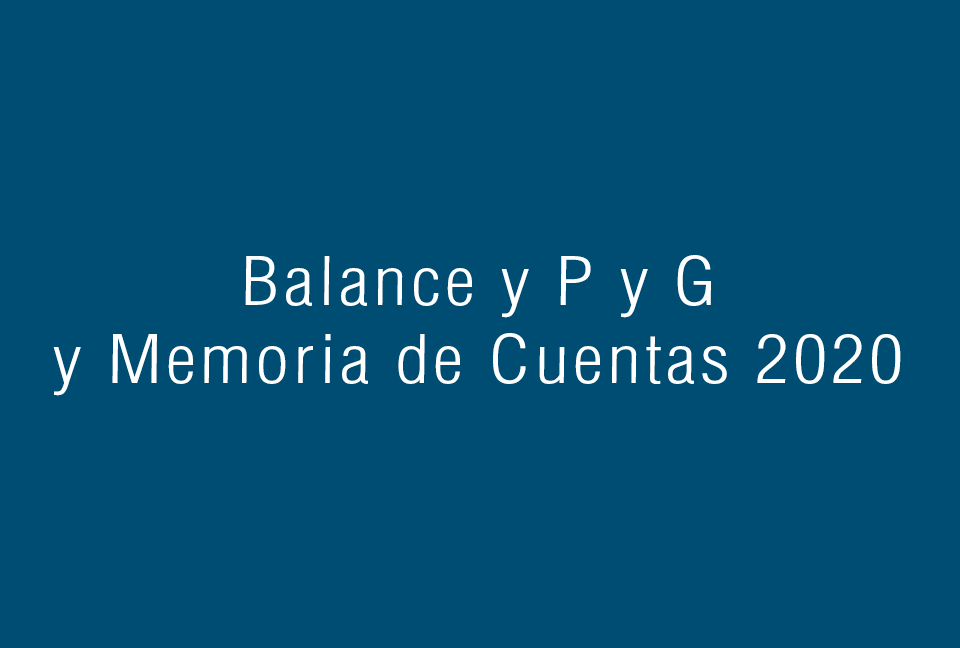 Balance y PyG  2020